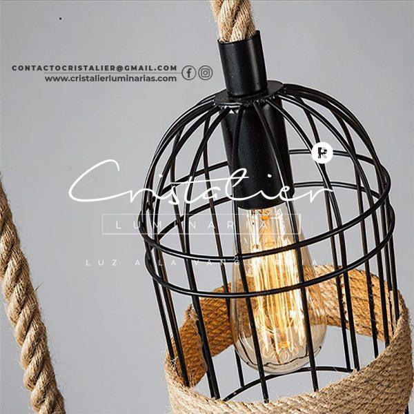 Canaria - Imagen 4