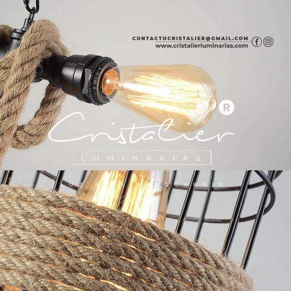 Canaria - Imagen 3